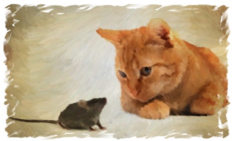 Cat and Mouse